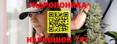 гидропоника Бугуруслан
