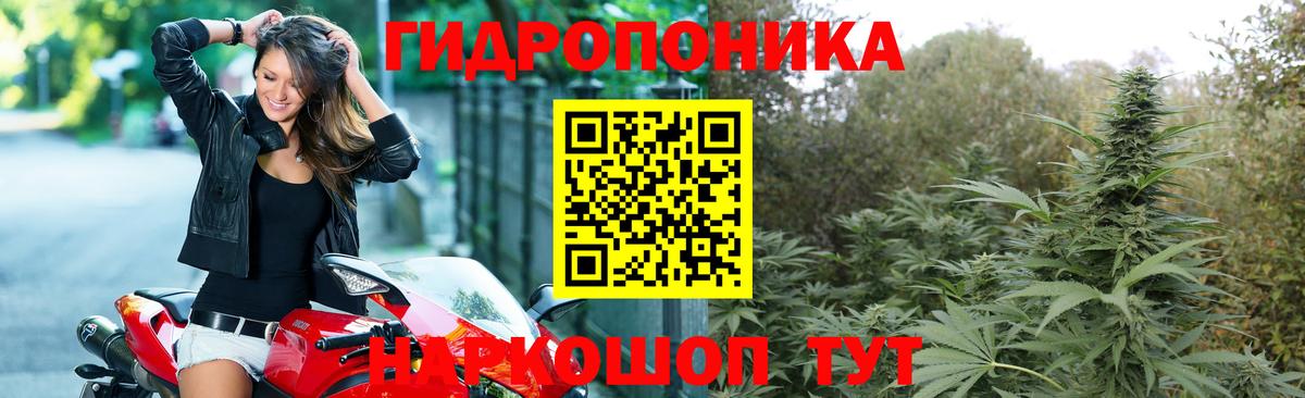 Бошки Шишки ГИДРОПОН Слободской